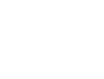 Logo der NNC-Group, NNC-LIN MS GmbH